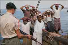 ���� ������ ��� ��� ����